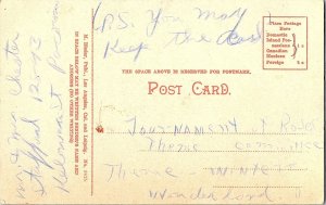 Old Baldy Winter Orange Groves California c1915Postcard