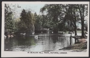 Canada British Columbia VICTORIA in Beacon Hill Park with Swans pm RPPC