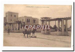 Morocco Casablanca Old Postcard The Genie and the Public Garden (ass donkey)