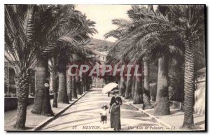 Old Postcard Menton A Palm Allee