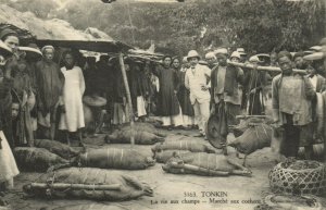 PC CPA VIETNAM, INDOCHINA, TONKIN MARCHÉ AUX COCHONS, (b20696)