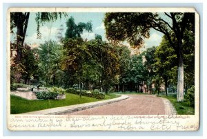 1906 View in the Grounds, US Armory, Springfield Massachusetts MA Postcard 