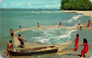 Hawaii Hukilau The Old Hawaiian Way Of Fishing Pan American World Airways Card