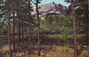 Jockey Cap Mountain Fryeburg Maine USA Postcard