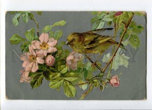 288529 UnSign KLEIN Rose & BIRD Vintage EMBOSSED postcard