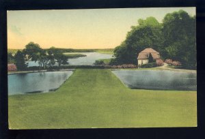 Charleston, South Carolina/SC Postcard, Middleton Place Gardens, Live Oak