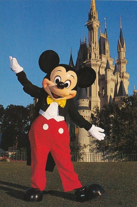 Orlando Walt Disney World Mickey Mouse and Cinderella Castle