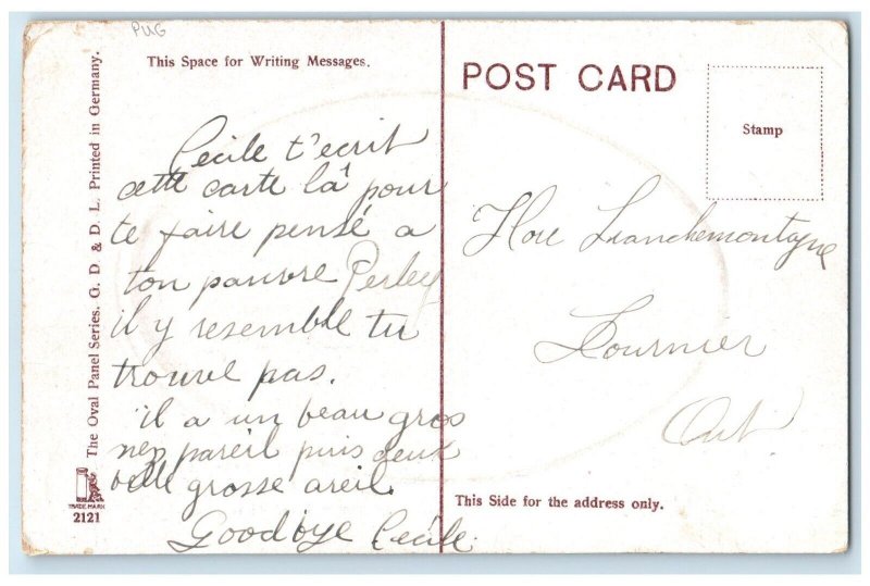 c1910's Cute Pug Dog Animals Embossed Clifton Bingham Posted Antique Postcard