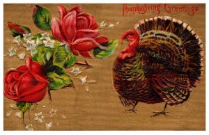 Thanksgiving ,  Turkey , roses