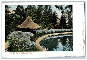 Scenic View In The Park Trees Flowers Redlands California CA Vintage Postcard 