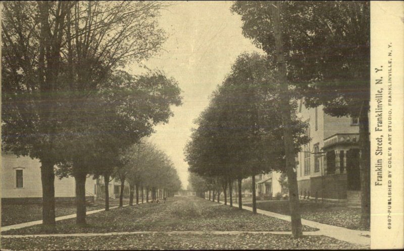 Franklinville NY Franklin St. c1910 Postcard