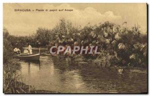 Postcard Old Siracusa Piante Di Papiri Sull & # 39anapo