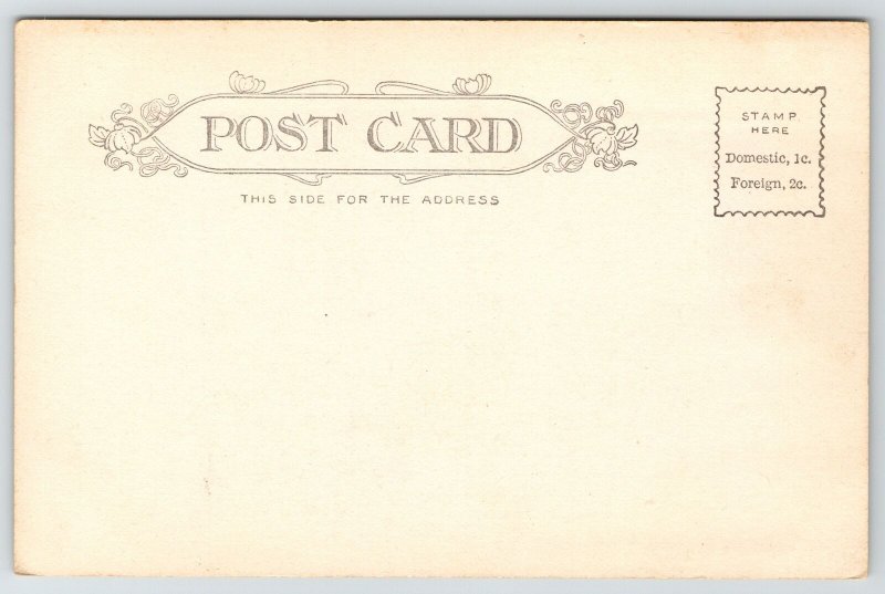 Toledo Ohio~Trash Wagon? Booth~Building w/Nice Mansard Roof~Great Tower c1905