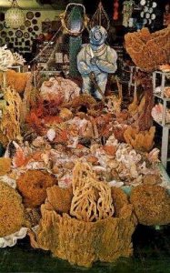 Sponge Industry - Tarpon Springs, Florida FL