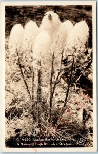 c1930s High Altitude Oregon RPPC Indian Basket Grass Close Up Sawyer Scenic A166