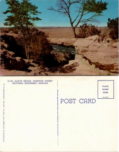 Agate Bridge, Petrified Forest National Monument, Arizona (22615