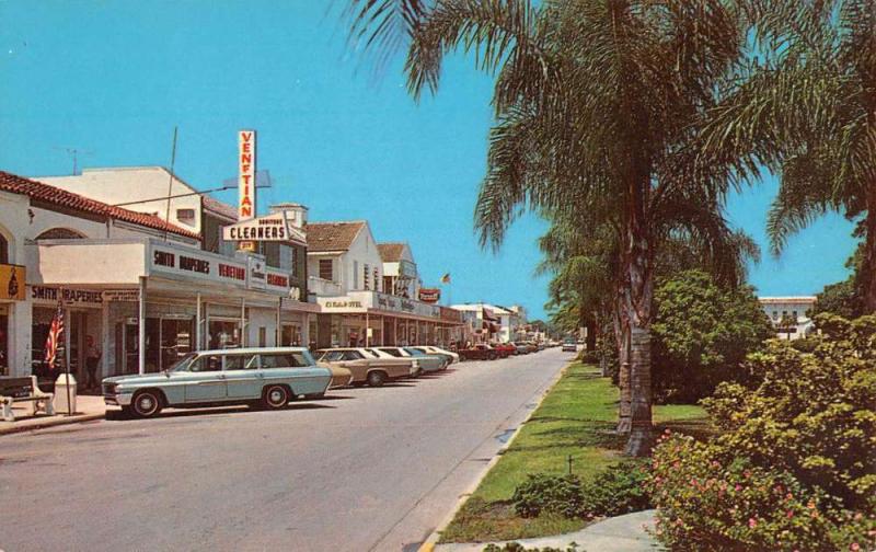 Venice Florida Palm Lined Blvd Business Area Vintage Postcard K71377