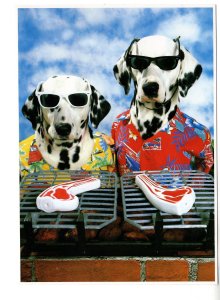 Large 5 X 7 inch Dalmatian Duo, Dogs Barbecuing Steaks