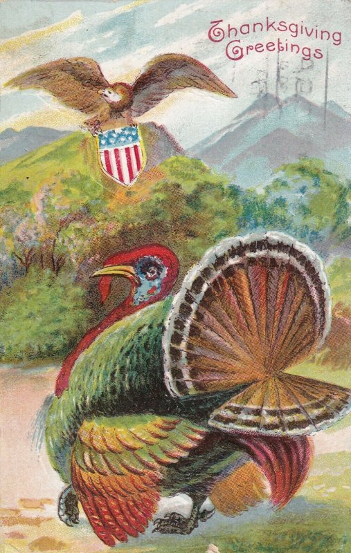 THANKSGIVING, PU-1912; Greetings, Eagle with Stars & Stripes, Wild Turkey