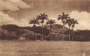 Queens Park Savannah Trinidad Postcard