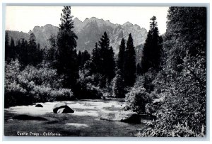 c1960s Castle Crags Tree Siskiyou County California CA Unposted Vintage Postcard