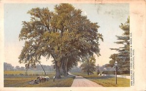 New England Views Lancaster, Massachusetts