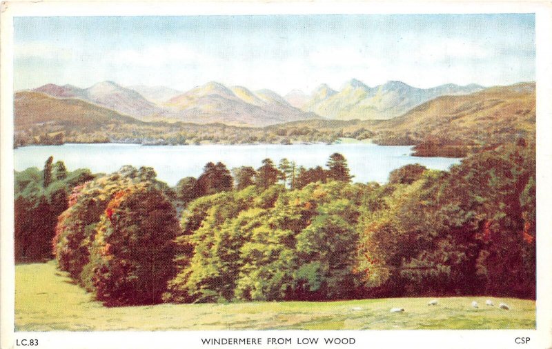 US73 UK England Windermere from Low Wood