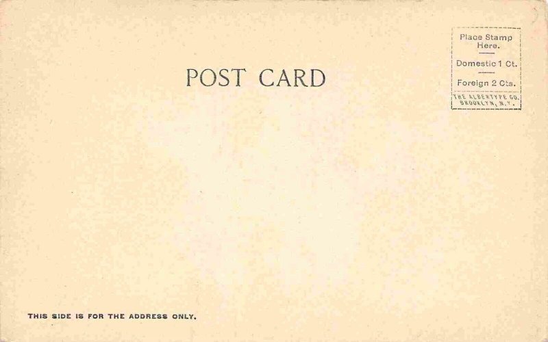 Mt Tacoma Totem Pole Washington 1905c Albertype postcard