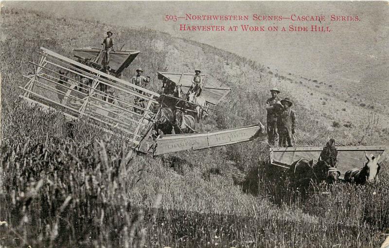 Vintage Postcard Champion Header Harvester Working In The NorthWest