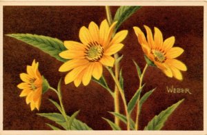 Wild Sunflower    Artist: Weber