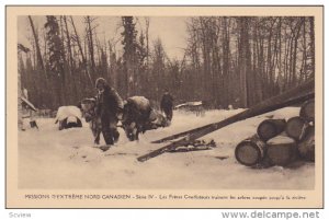 Missions D'Extreme Nord Canadien , Les Freres Coadjuteurs trainent les arbres...