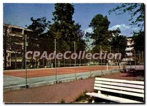 Postcard Modern Calves Penil the Residence du Chateau