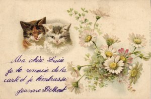 PC CATS, TWO SMALL CATS WITH FLOWERS, Vintage Postcard (b47197)