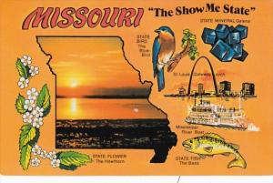 Map Of Missouri 1999