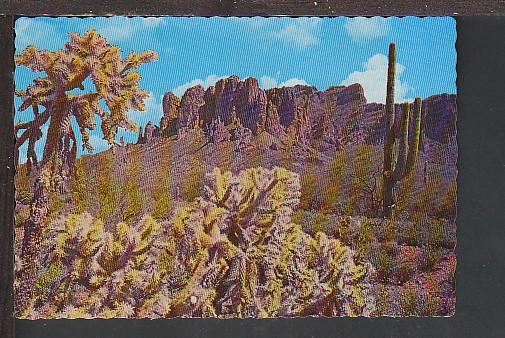 Cactus Superstition Mountain Phoenix AZ Postcard BIN 