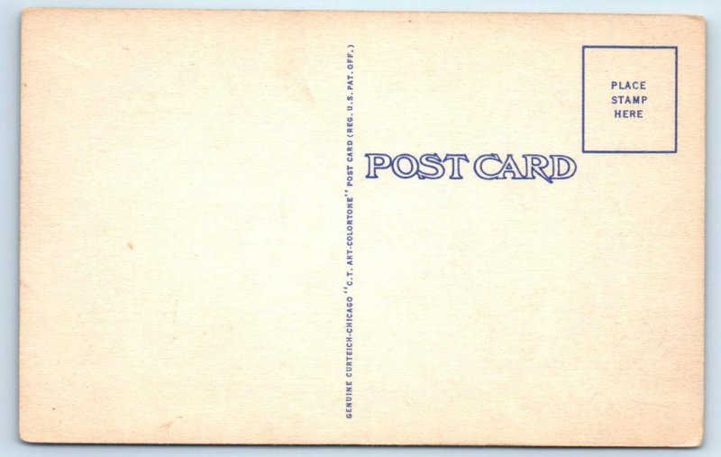 MIAMI, Florida FL ~ Orange Grove FLOYD'S FRUIT GROVE Roadside c1940s  Postcard