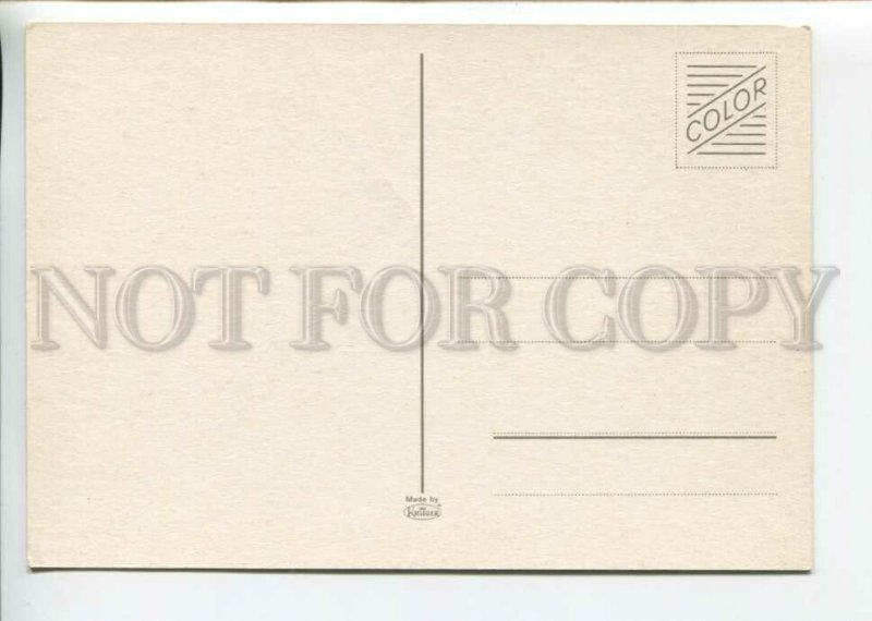 441769 Cute kitten Old photo postcard