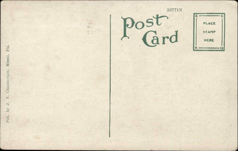 Miami Florida FL Aquarium c1900s-20s Postcard