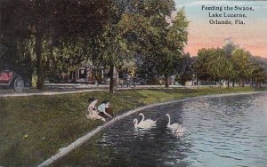 Florida Orlando Feeding The Swans Lake Lucerne