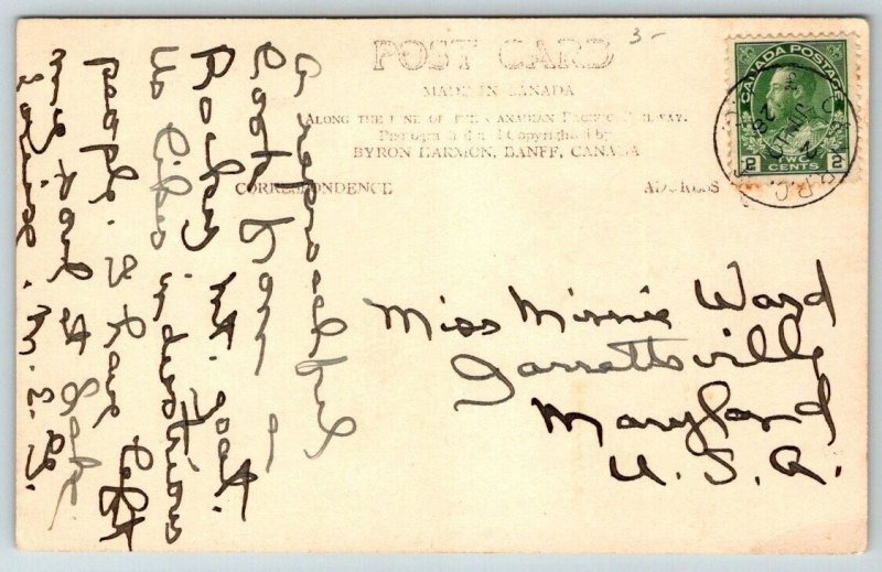 RPPC  Mountain Goats  Banff  Canada  1928   Postcard