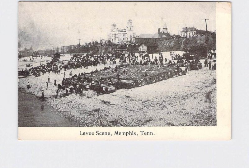 PPC POSTCARD TENNESSEE MEMPHIS LEVEE SCENE UNDIVIDED BACK BLACK AND WHITE IMAGE