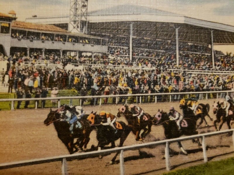 Vintage Postcard Tropical Park Gables Horse Racing Association Miami Florida 472