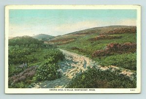 1932 Saul's Hills Nantucket Sand Walk Beach Massachusetts MA Postcard