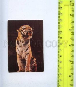 259131 USSR Circus Trained Tiger Pocket CALENDAR 1985 year