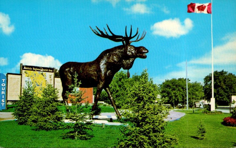 Canada Ontario Dryden World's Largest Moose