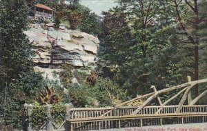 Pennsylvania Philadelphia New Castle Cat Rocks Cascade Park 1906