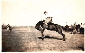 Vintage Postcard Cowboy on Broncing Black Horse Stallion Real Photo RPPC