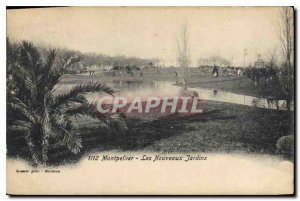 Old Postcard Montpellier New Gardens