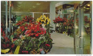 Aloha House of Flowers , VANCOUVER , B.C. , Canada , 50-60s