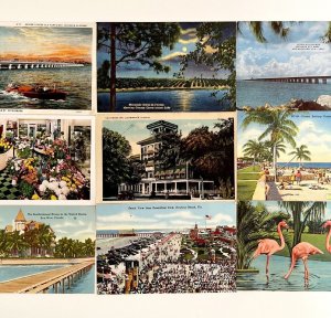 Postcards Lot Of 9 Florida Various Subjects 1930s-50s PCBG10C